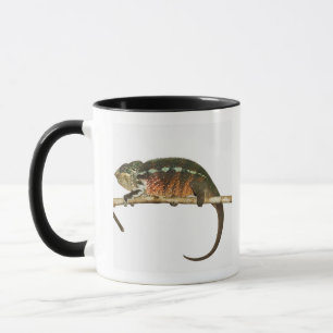 Madagascar 2 mug