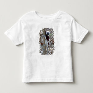 Madagascar, Ankarafantsika Reserve; Ampijoroa; Toddler T-shirt
