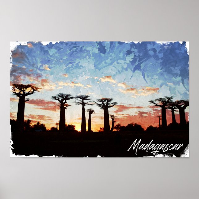 Madagascar Avenue of the Baobabs Panorama View Poster (Front)