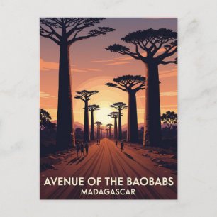 Madagascar Avenue of the Baobabs Travel Postcard