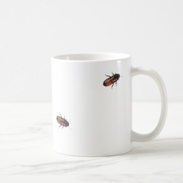 Madagascar Cockroaches Invade Coffee Mug (Right)