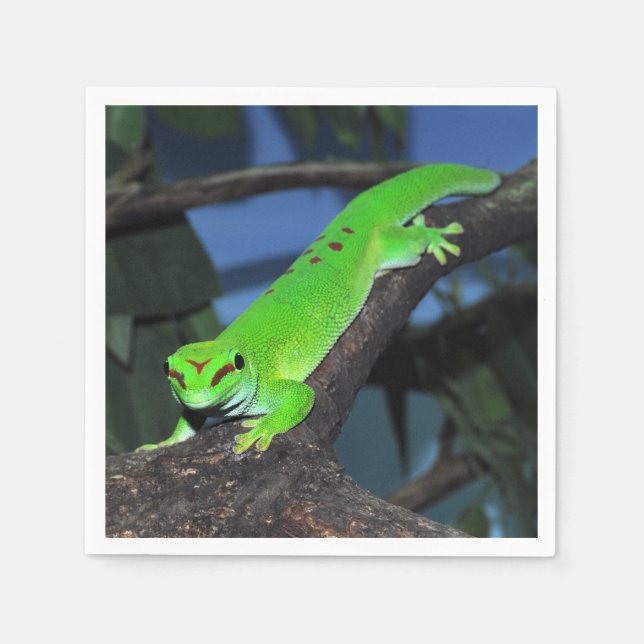 Madagascar day gecko napkins (Front)