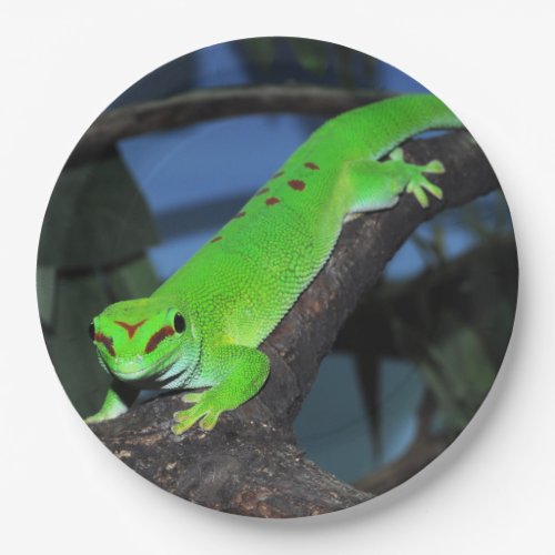 Madagascar day gecko paper plates