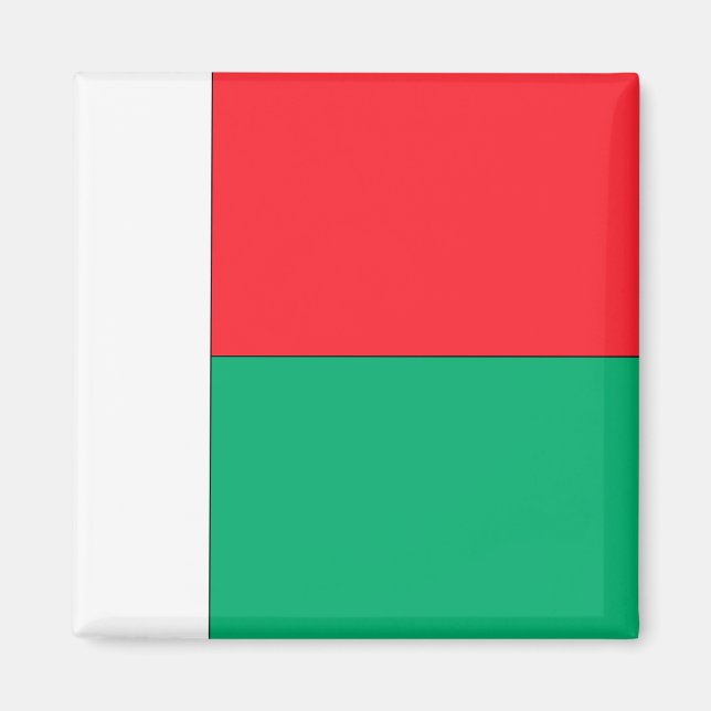 Madagascar Flag Magnet (Front)