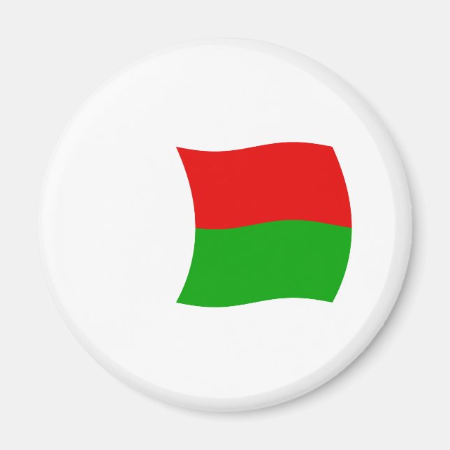 Madagascar Flag Magnet (Front)