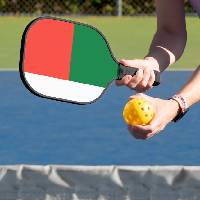Madagascar flag pickleball paddle (Insitu)