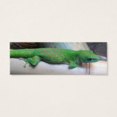 Madagascar Giant Day Gecko Mini Invitation Cards (Back)