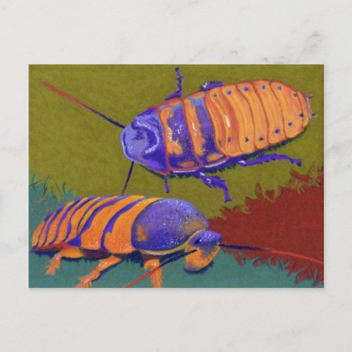 Madagascar Hissers _ Cockroaches Postcard