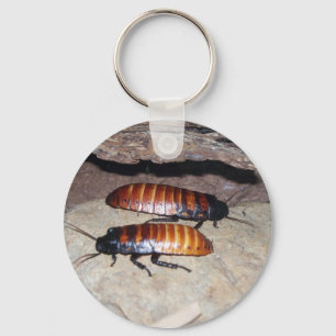 Madagascar Hissing Cockroach Keychain
