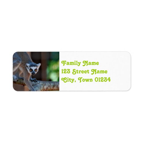 Madagascar Lemur Label