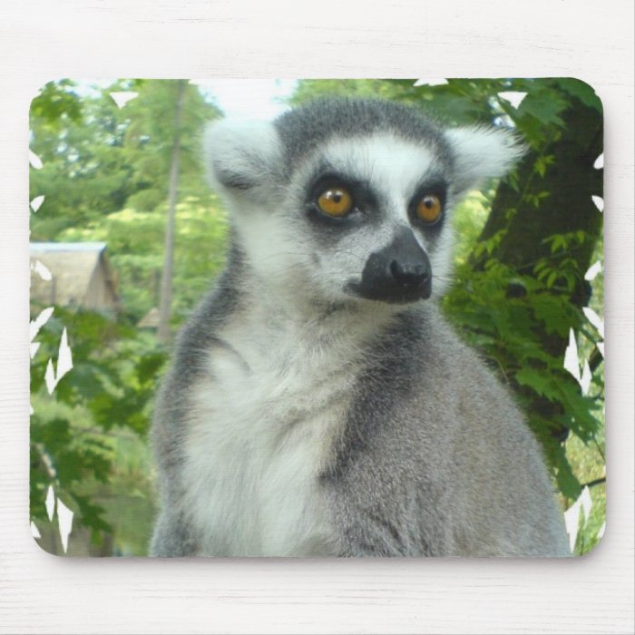 Madagascar Lemur Mouse Pad