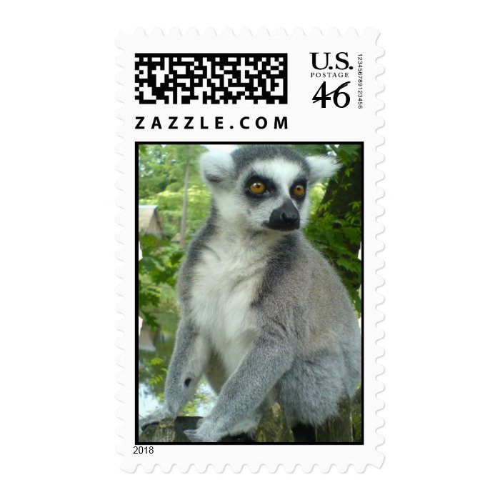 Madagascar Lemur Postage Stamp