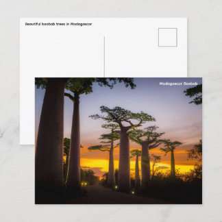 Madagascar Postcard
