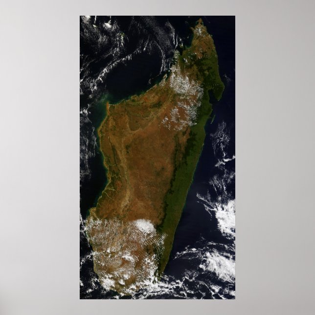 Madagascar Poster (Front)