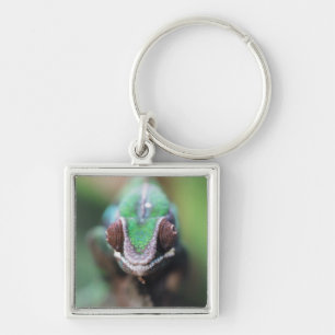 Madagascar, Red bar Panther Chameleon Keychain