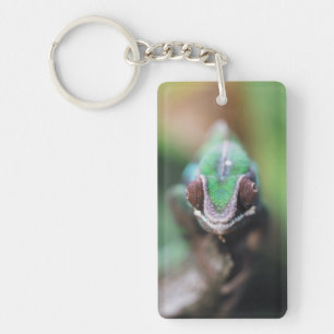 Madagascar, Red bar Panther Chameleon Keychain