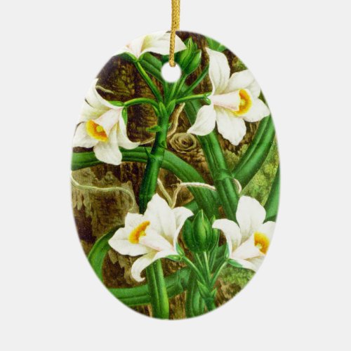 Madagascar Vanilla Orchid Ceramic Ornament