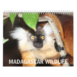 Madagascar Wildlife Calendar