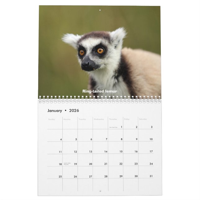 Madagascar Wildlife Calendar (Jan 2026)