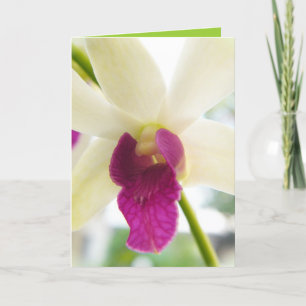 Madame Orchid Card