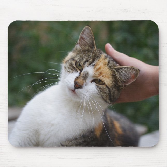 Mädchen Streichelt Eine Glückskatze Mouse Pad (Front)