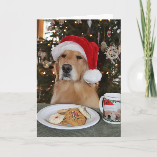 Maddi Waiting on Santa Thank You Card (Front)