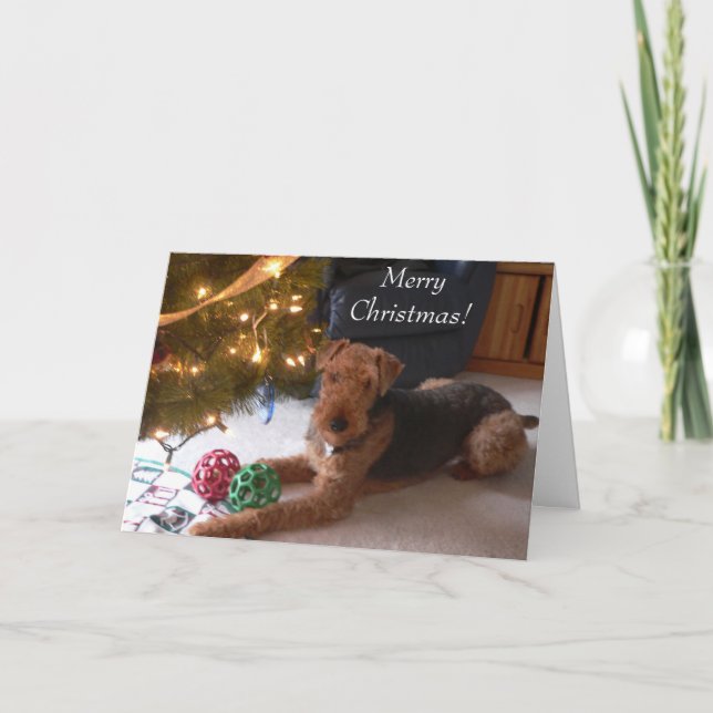 Maddie says, "Merry Christmas!" Holiday Card (Front)