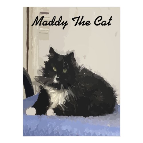 Maddy The Cat Poster Photo