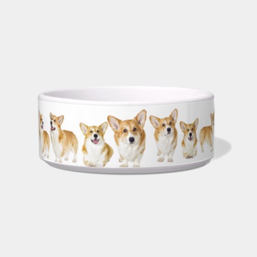 Made for Royalty Adorable Corgi Medium Pet Bowl