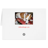 Made for Shiner Card (Back Horizontal)