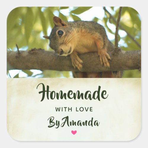 Made with Love Cute Curious Squirrel Nature Photo Square Sticker