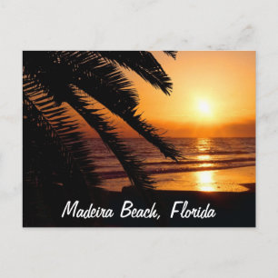 Madeira Beach Florida Postcard