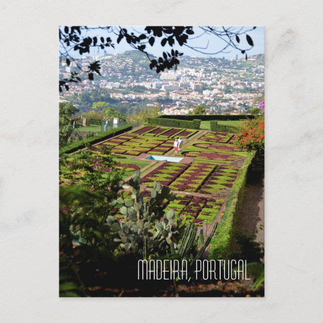 Madeira Funchal Botanical Garden Souvenir Postcard (Front)
