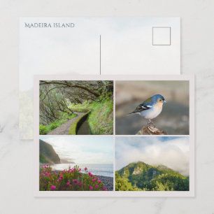 Madeira island photo collage, modern travel postcard