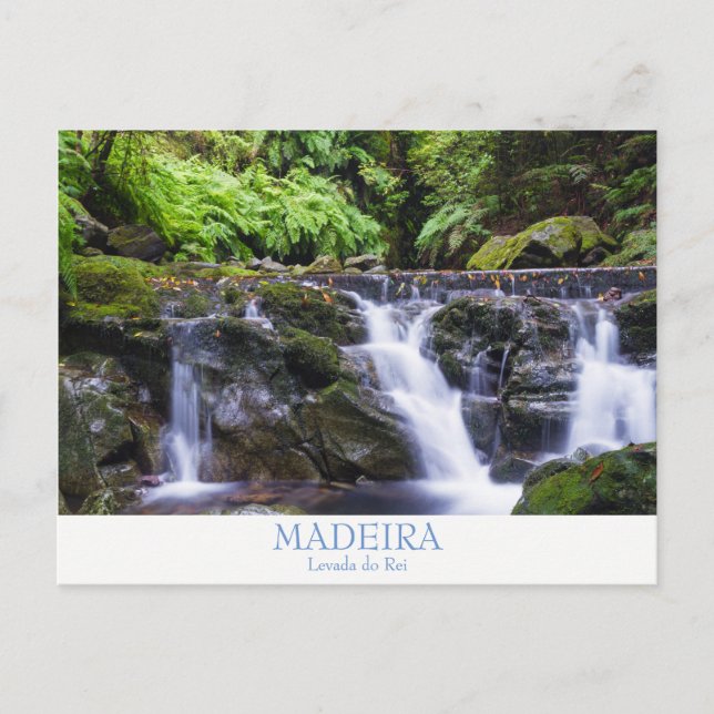 Madeira - Levada do Rei postcard with text (Front)
