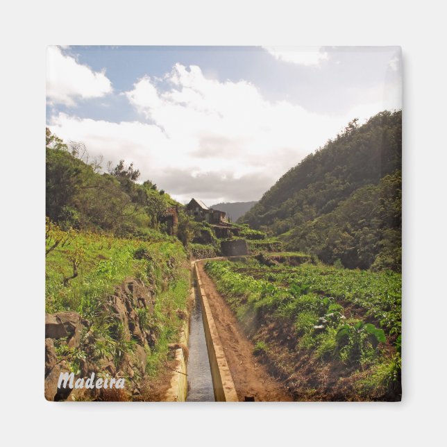 Madeira magnet- Levada do Caniçal Magnet (Front)