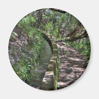 Madeira Road Way Magnet