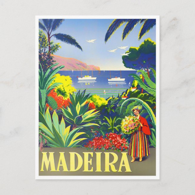 Madeira vintage travel Postcard (Front)
