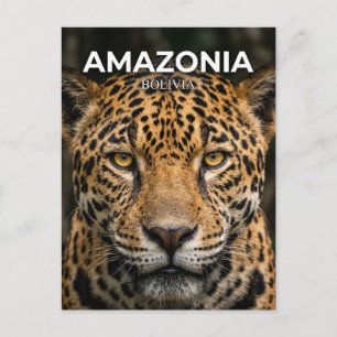 Madidi National Park Bolivia Postcard