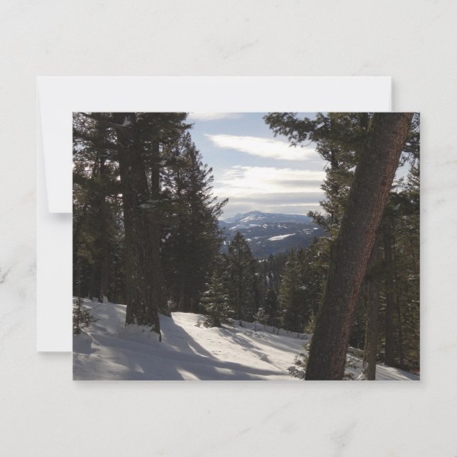 Madison Mountains in Winter in Montana (Front)