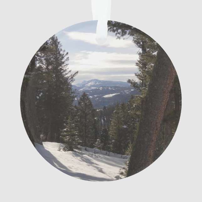 Madison Mountains in Winter in Montana Ornament (Back)