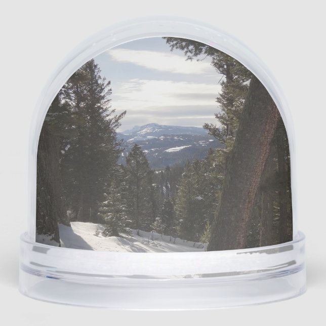 Madison Mountains in Winter in Montana Snow Globe (Front)