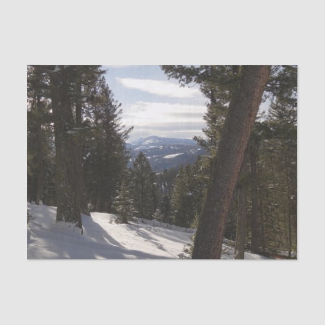 Madison Mountains in Winter in Montana Tissue Paper (Front)