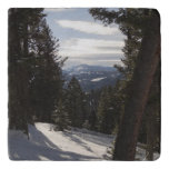 Madison Mountains in Winter in Montana Trivet