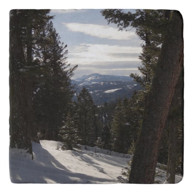 Madison Mountains in Winter in Montana Trivet (Front)