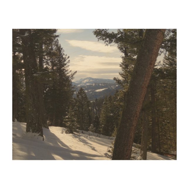 Madison Mountains in Winter in Montana Wood Wall Art (Front)