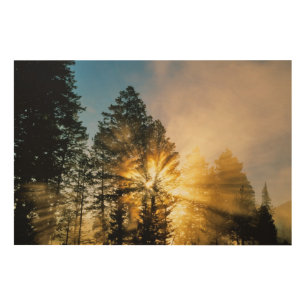 Madison River   Yellowstone National Park Wood Wall Art