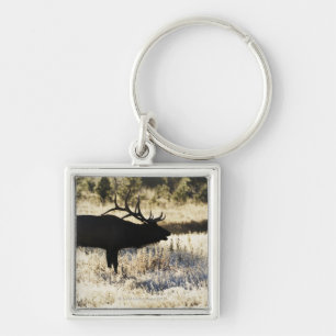 Madison River, Yellowstone NP, Wyoming, USA Keychain