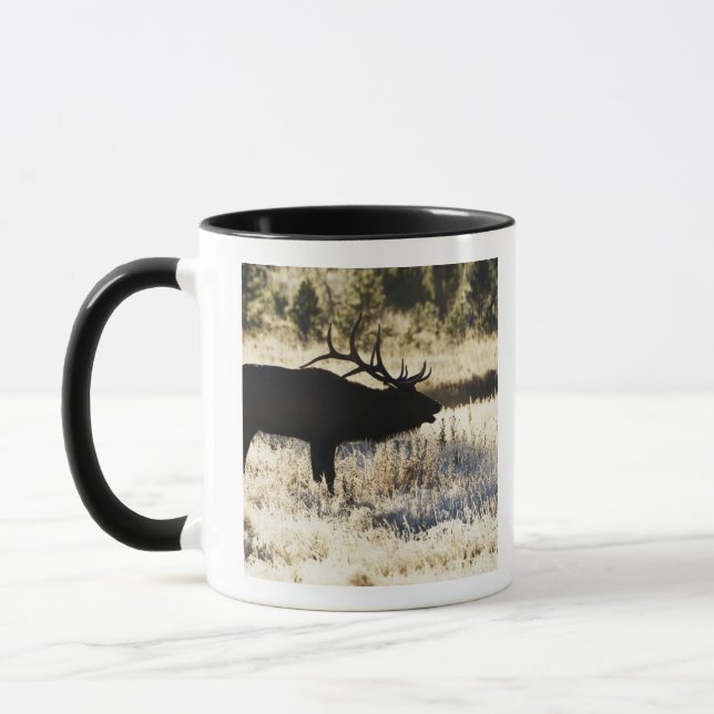 Madison River, Yellowstone NP, Wyoming, USA Mug (Left)