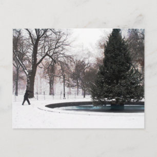 Madison Square Park Winter 2005 Postcard